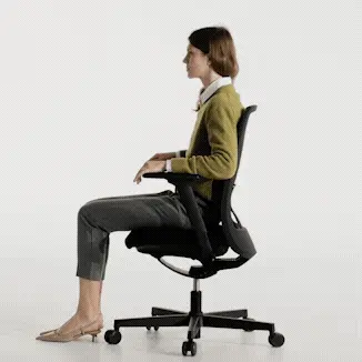 air-flex2.gif